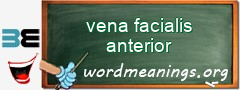 WordMeaning blackboard for vena facialis anterior